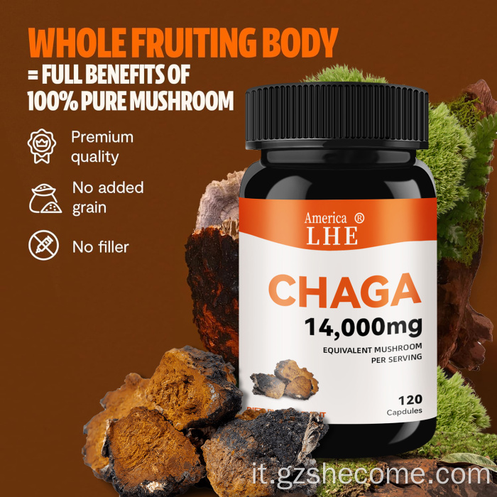 FUNGHI CHAGA FUNGHI FUNGHI CAPSULE SUPPORTO GIUSTO